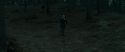 RdM1-Potterish12130.jpg