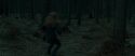 RdM1-Potterish12133.jpg
