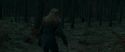 RdM1-Potterish12134.jpg