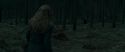 RdM1-Potterish12135.jpg