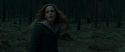 RdM1-Potterish12136.jpg