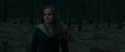 RdM1-Potterish12137.jpg