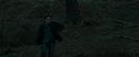 RdM1-Potterish12139.jpg