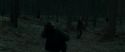 RdM1-Potterish12142.jpg