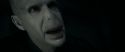 RdM1-Potterish12163.jpg