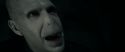 RdM1-Potterish12164.jpg
