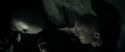RdM1-Potterish12170.jpg