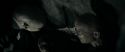 RdM1-Potterish12171.jpg