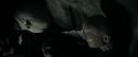 RdM1-Potterish12172.jpg