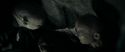 RdM1-Potterish12173.jpg