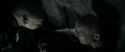 RdM1-Potterish12174.jpg