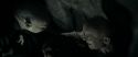 RdM1-Potterish12175.jpg