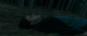 RdM1-Potterish12208.jpg