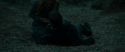 RdM1-Potterish12217.jpg