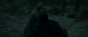 RdM1-Potterish12219.jpg