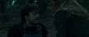 RdM1-Potterish12228.jpg