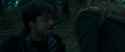 RdM1-Potterish12231.jpg