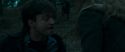RdM1-Potterish12232.jpg