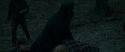 RdM1-Potterish12238.jpg