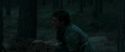 RdM1-Potterish12241.jpg