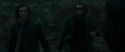 RdM1-Potterish12249.jpg