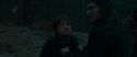 RdM1-Potterish12257.jpg