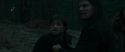 RdM1-Potterish12258.jpg