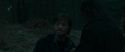 RdM1-Potterish12268.jpg