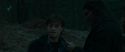 RdM1-Potterish12269.jpg