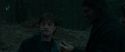 RdM1-Potterish12270.jpg