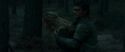 RdM1-Potterish12279.jpg