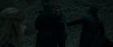 RdM1-Potterish12326.jpg