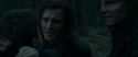 RdM1-Potterish12362.jpg