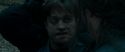 RdM1-Potterish12368.jpg