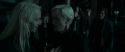 RdM1-Potterish12478.jpg