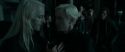 RdM1-Potterish12485.jpg