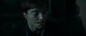 RdM1-Potterish12552.jpg