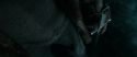 RdM1-Potterish12569.jpg