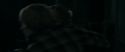 RdM1-Potterish12623.jpg
