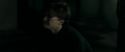 RdM1-Potterish12731.jpg
