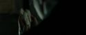 RdM1-Potterish12754.jpg