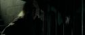 RdM1-Potterish12894.jpg