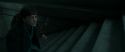 RdM1-Potterish12933.jpg