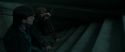 RdM1-Potterish12935.jpg