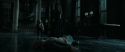 RdM1-Potterish12993.jpg