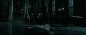 RdM1-Potterish12995.jpg