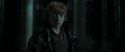 RdM1-Potterish13056.jpg