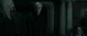 RdM1-Potterish13072.jpg