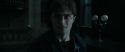 RdM1-Potterish13077.jpg