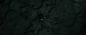 RdM1-Potterish13113.jpg